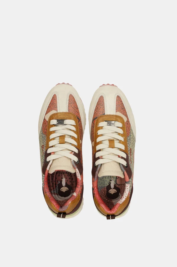 Deportivos Anekke Odyssey